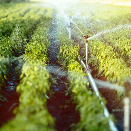 Irrigation System, Installation, & Repairs-Lubbock TX Landscape Designs & Outdoor Living Areas-We offer Landscape Design, Outdoor Patios & Pergolas, Outdoor Living Spaces, Stonescapes, Residential & Commercial Landscaping, Irrigation Installation & Repairs, Drainage Systems, Landscape Lighting, Outdoor Living Spaces, Tree Service, Lawn Service, and more. Irrigation System, Installation, & Repairs-Lubbock TX Landscape Designs & Outdoor Living Areas-We offer Landscape Design, Outdoor Patios & Pergolas, Outdoor Living Spaces, Stonescapes, Residential & Commercial Landscaping, Irrigation Installation & Repairs, Drainage Systems, Landscape Lighting, Outdoor Living Spaces, Tree Service, Lawn Service, and more.